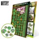 Colored Paper Plants - Lilly Pads