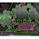 Pokémon TCG: Scarlet & Violet - Shrouded Fable - Elite Trainer Box