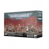 [MO] Rogue Trader Entourage and Voidsmen-at-Arms