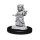 Nolzur's Marvelous Miniatures - Silver Dragon Wyrmling & Female Halfling