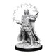 Nolzur's Marvelous Miniatures - Male Human Wizard