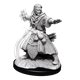 Nolzur's Marvelous Miniatures - Male Human Wizard