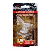 Nolzur's Marvelous Miniatures - Aasimar Female Wizard