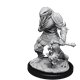 Nolzur's Marvelous Miniatures - Male Dragonborn Paladin