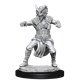 Nolzur's Marvelous Miniatures - Male Human Monk