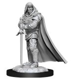 Nolzur's Marvelous Miniatures - Human Paladin Male