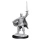 Nolzur's Marvelous Miniatures - Human Paladin Male