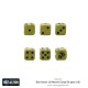 US Marine Corps D6 Dice (16)