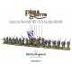 Pike & Shotte Infantry Regiment