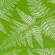 Bracken Fern Set