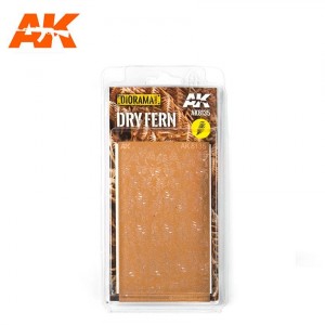 Dry Fern Set