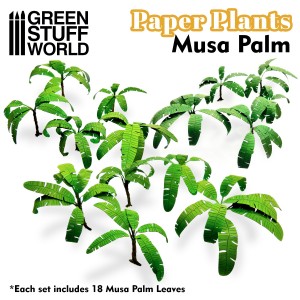 Paper Plants - Musa Trees