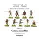 Colonial Militia Men (Plastic Box)