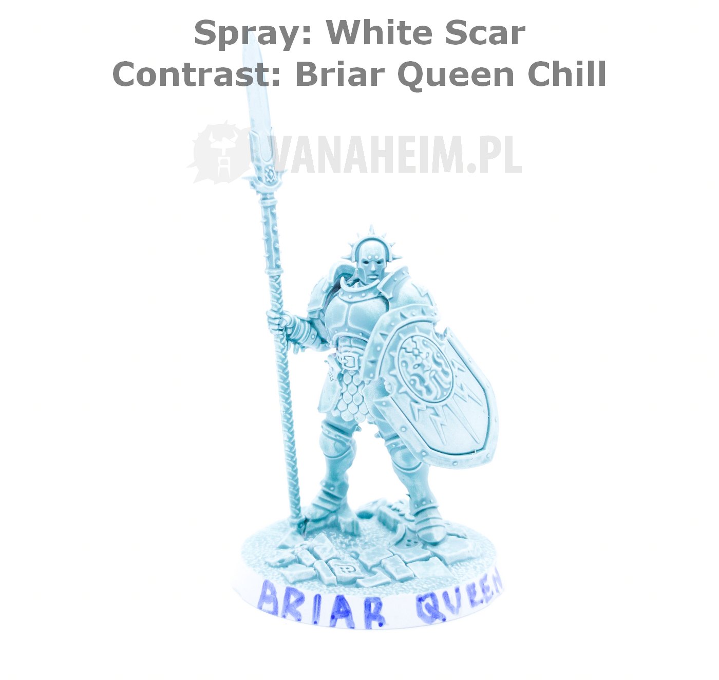 Citadel Contrast: Briar Queen Chill On White Scar Spray
