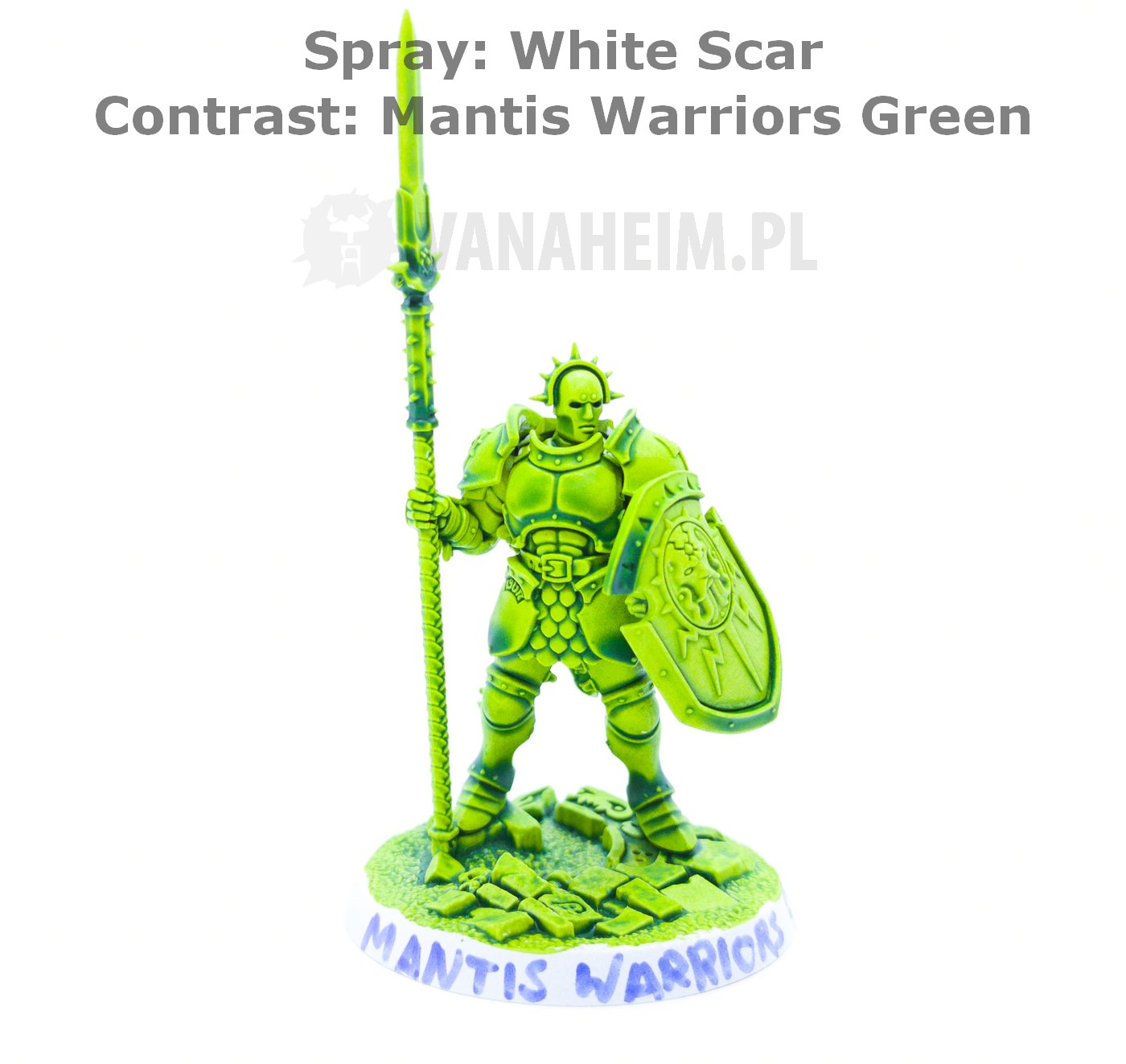 Citadel Contrast: Mantis Warriors Green On White Scar Spray