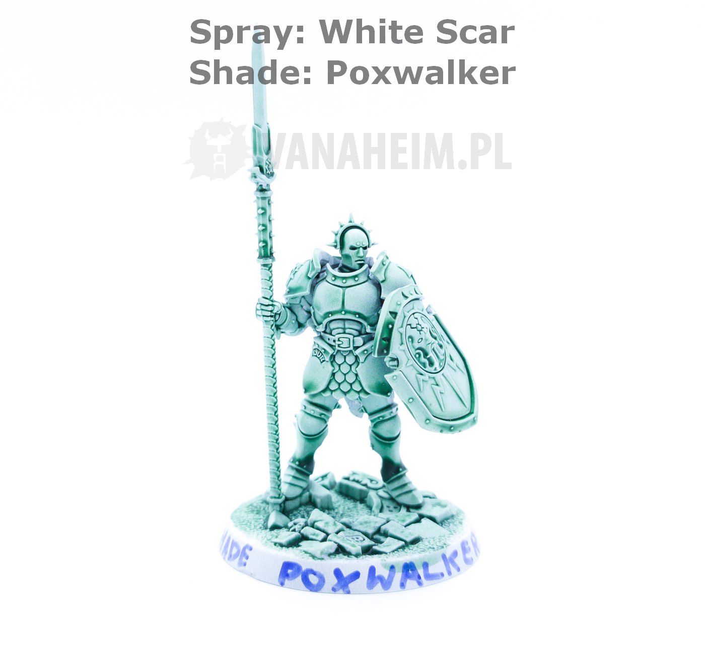 Citadel Shade: Poxwalker On White Scar Spray