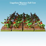 Liagulians Warriors Full Unit