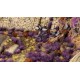 Gamers Grass: Grass tufts - 6 mm - Alien Purple (Wild)