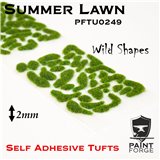 Paint Forge Tufts Wild Summer Lawn 2mm