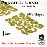 Paint Forge Tufts Wild Parched Land 2mm