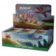 MTG: Bloomburrow Play Booster Box